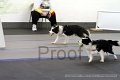 IMG_7059