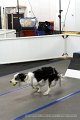 IMG_7101