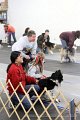 IMG_7137