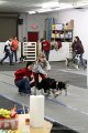 IMG_7146