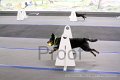 IMG_7203