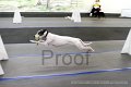 IMG_7210