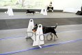 IMG_7226