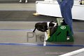IMG_7241