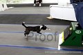 IMG_7248