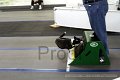 IMG_7249