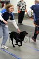 IMG_7287