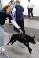 IMG_7288
