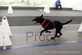 IMG_7304