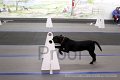 IMG_7334