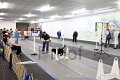 IMG_7346