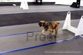 IMG_7369