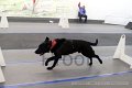 IMG_7378