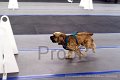 IMG_7399
