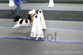IMG_7406