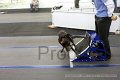IMG_7496
