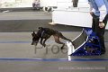 IMG_7497