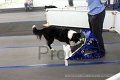 IMG_7500
