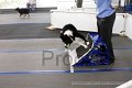 IMG_7503