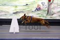 IMG_7544