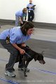 IMG_7549