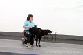 IMG_7590