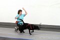 IMG_7591