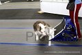 IMG_7602