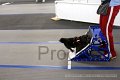 IMG_7617
