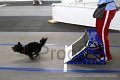 IMG_7620