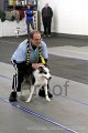IMG_7642