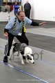 IMG_7643