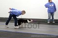 IMG_7691