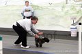 IMG_7705