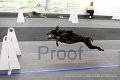 IMG_7821