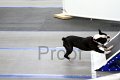 IMG_7844