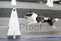 IMG_7853