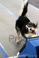 IMG_7957