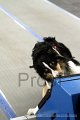 IMG_7958