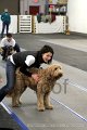 IMG_7967