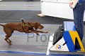 IMG_7997