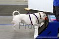 IMG_8033