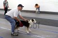 IMG_8077