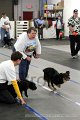 IMG_8087