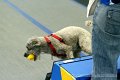 IMG_8107