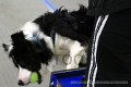 IMG_8142