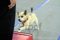 IMG_8161