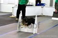 IMG_8200
