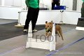 IMG_8202