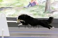IMG_8212